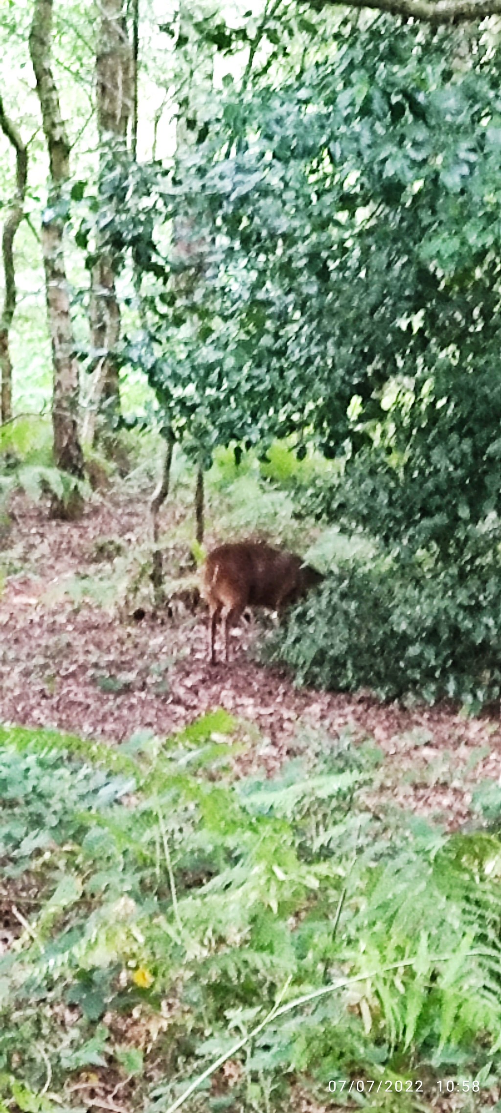 To Sleep ,Perchance to&nbsp;Dream